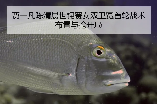 贾一凡陈清晨世锦赛女双卫冕首轮战术布置与抢开局