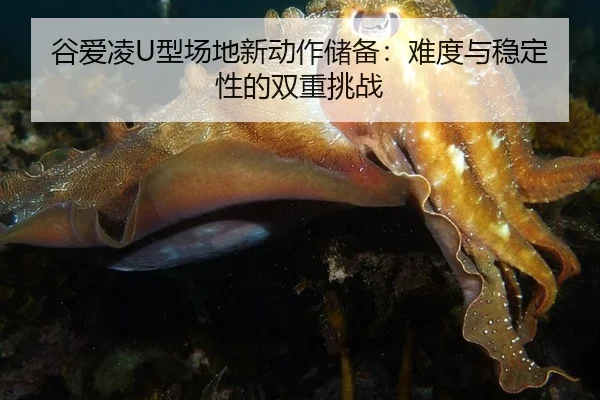 gu-ai-ling-xing-chang-di-xin-dong-zuo-chu-bei-nan-du-yu-wen-ding-xing-de-shuang-chong-tiao-zhan-2-351.jpg