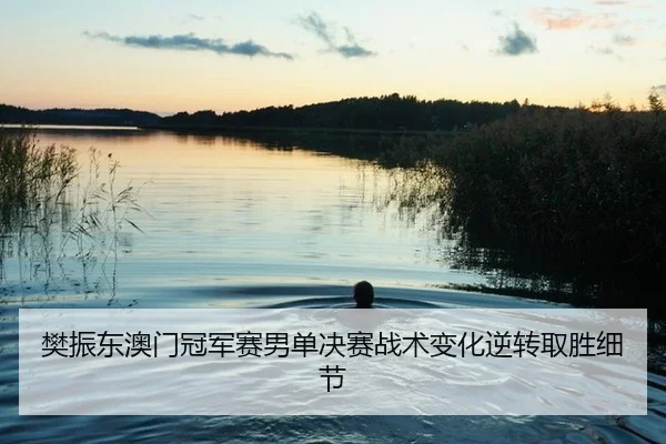 樊振东澳门冠军赛男单决赛战术变化逆转取胜细节