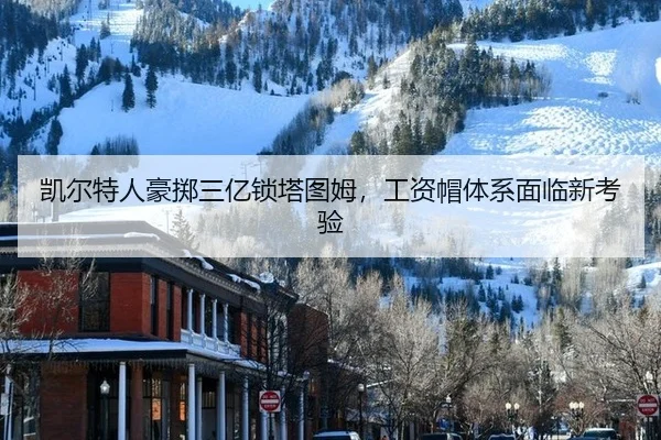 kai-er-te-ren-hao-zhi-san-yi-suo-ta-tu-mu-gong-zi-mao-ti-xi-mian-lin-xin-kao-yan-2-311.jpg
