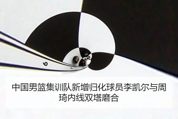 中国男篮集训队新增归化球员李凯尔与周琦内线双塔磨合